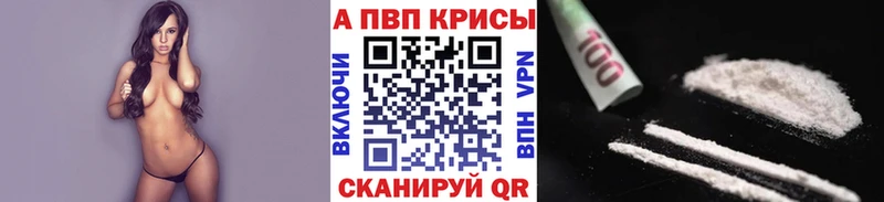 Купить  Заволжск  A PVP крисы CK 
