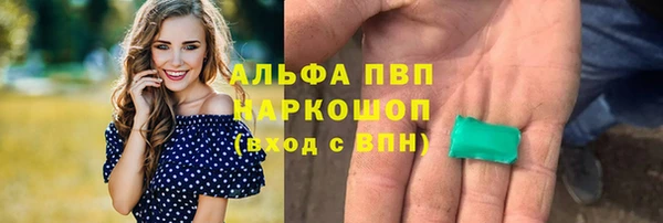тгк Вяземский