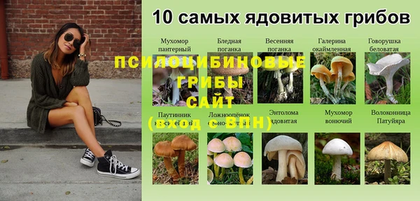 винт Вязьма