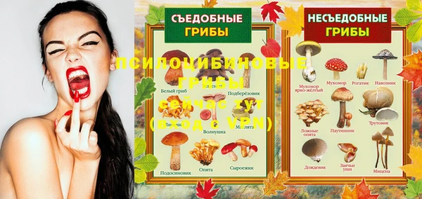 ПСИЛОЦИБИНОВЫЕ ГРИБЫ Горнозаводск