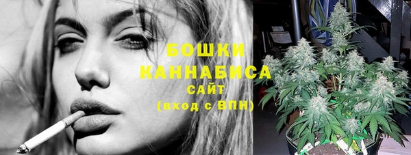 тгк Вяземский