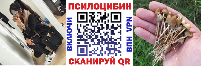 Купить  Заволжск  Псилоцибиновые грибы GOLDEN TEACHER 